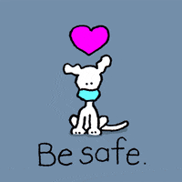 Wear A Mask Stay Safe GIF by Chippy the Dog - Find & Share on GIPHY