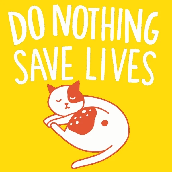 Do Nothing Cat GIF by INTO ACT!ON