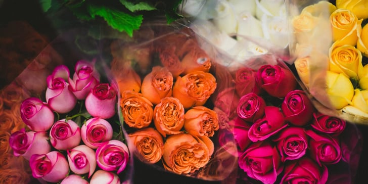 Rose Color Meanings | POPSUGAR Love & Sex