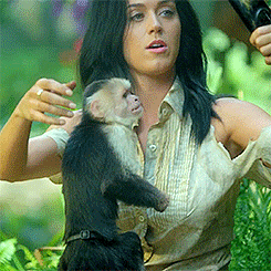 Can We Talk About How The Monkey Didn’t Like His Selfie GIF - KatyPerry Monkey Selfie GIFs