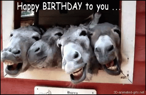 Image result for ANIMAL HAPPY BIRTHDAY GIF