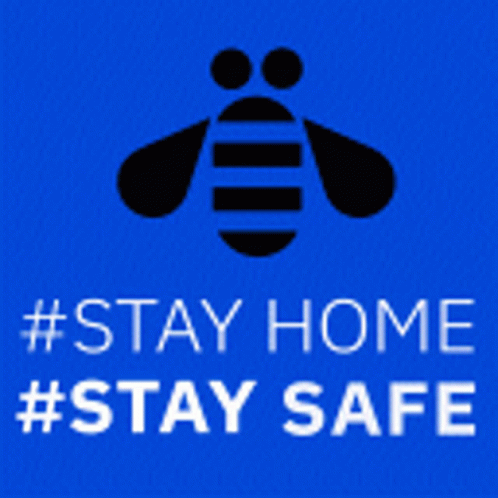 Stay Home Stay Safe GIF - StayHome StaySafe Bee - Discover & Share ...
