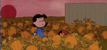 peanuts autumn GIF