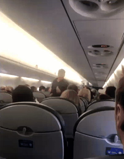 united airlines GIF
