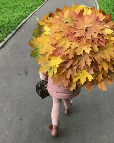 autumn umbrella GIF