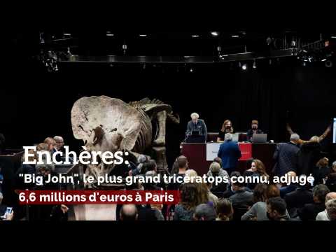 "Big John", le plus grand tricératops connu, adjugé 6,6 millions d'euros à Paris