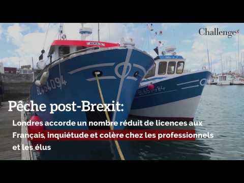 Pêche post-Brexit: Londres accorde un nombre réduit de licences aux Français, inquiétudes et colère chez les professionnels et les élus