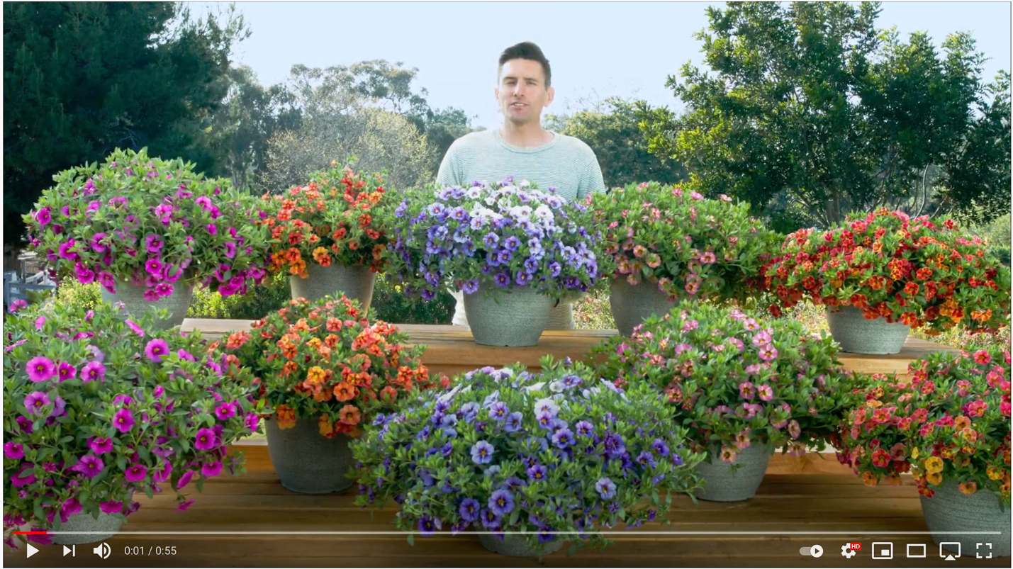 A person standing behind a table full of flowers Description automatically generated with low confidence