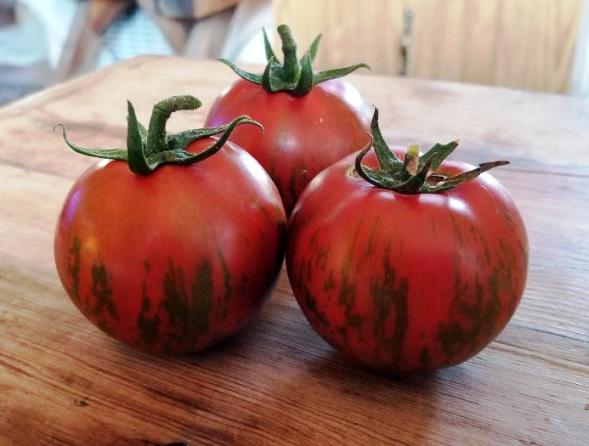 See Available Varieties Heirloom Tomato Plants