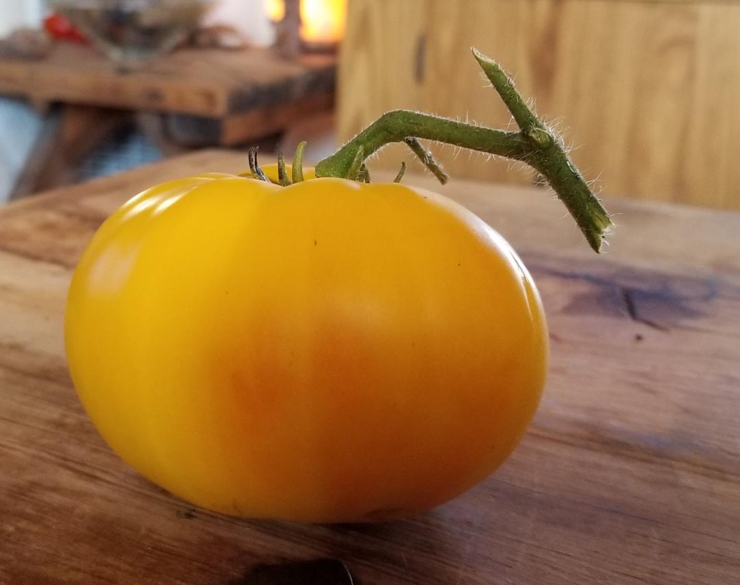 Tempting Tomatoes: Unlock the Unique Flavor of Fred's Varieties and Make Your Garden Pop this Year!