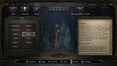 The Pillars of Eternity: Complete Edition game includes all the additional content from the PC version, including the DLC and expansions. (Photo: Business Wire)