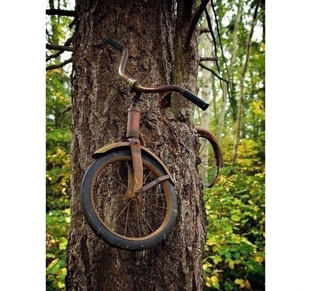 Интересно познавательные фото! Интересно познавательные фото! Интересно познавательные фото!, животные, история, факты