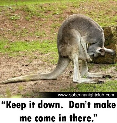 Image result for animals funnies