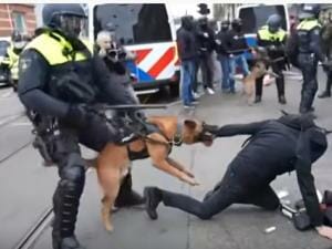 Amsterdam: Riot Cops Use Police Dogs to Attack Anti-Vaxx and Anti-Lockdown Protesters