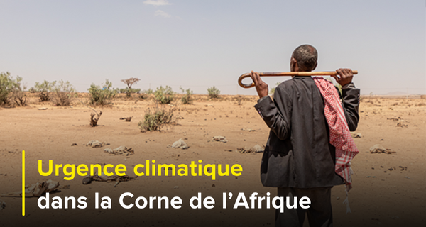 Urgence climatique dans la Corne de l'Afrique