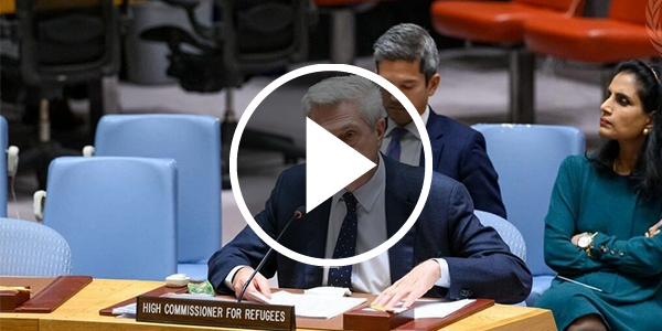 Déclaration du Haut Commissaire au Conseil de Sécurité des Nations Unies