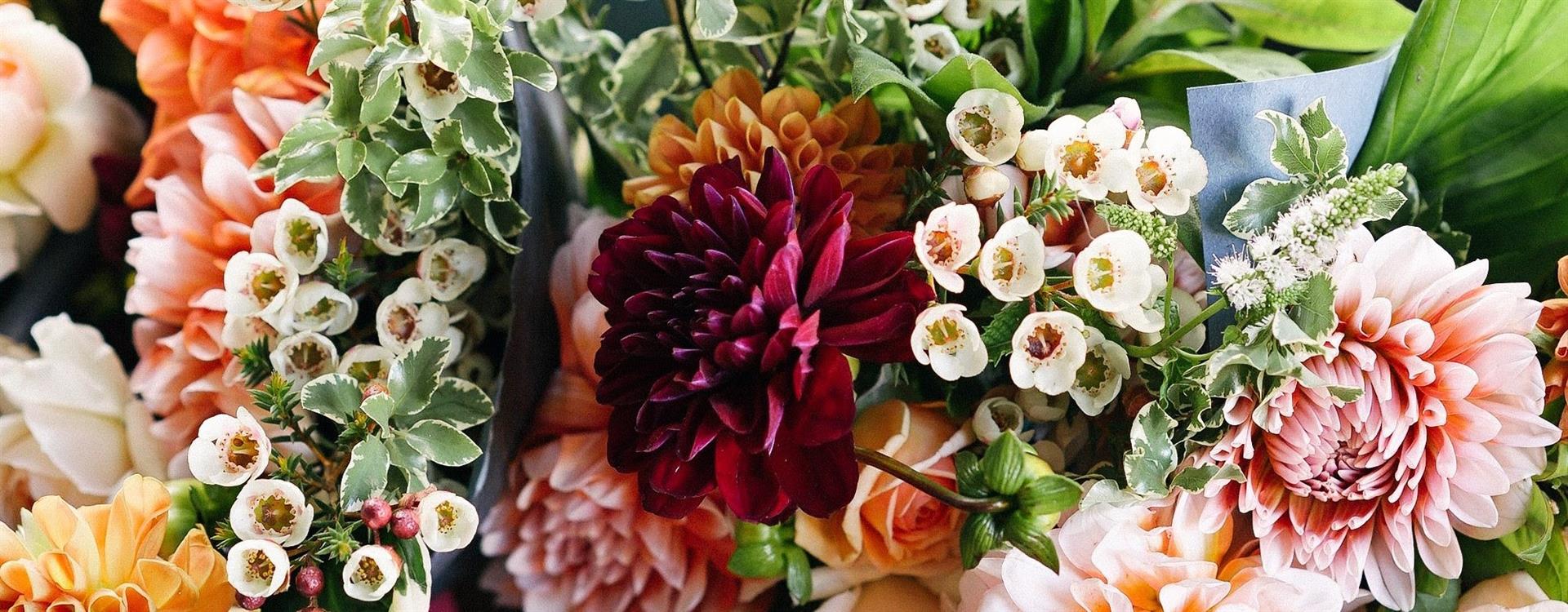A bouquet of colorful flowers.