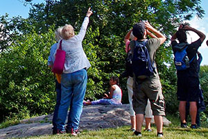 Birdwatching Birdwatching