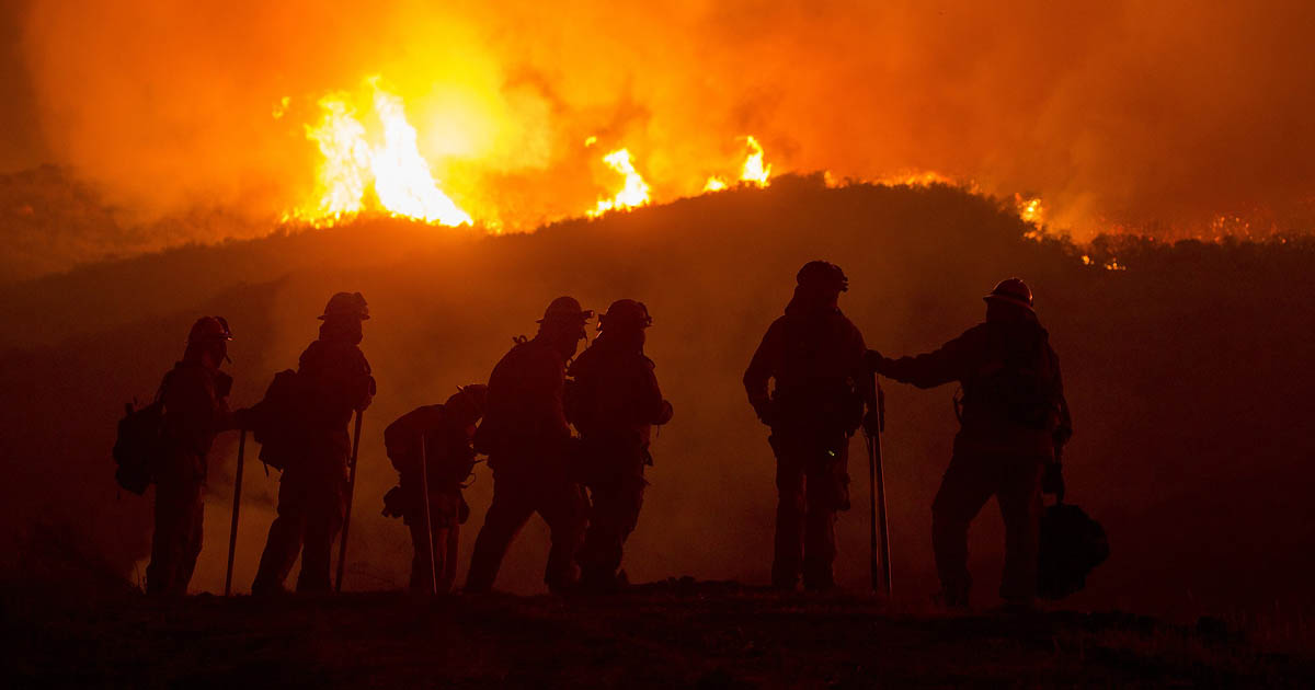 Forest fire and firefighters Forest fire and firefighters