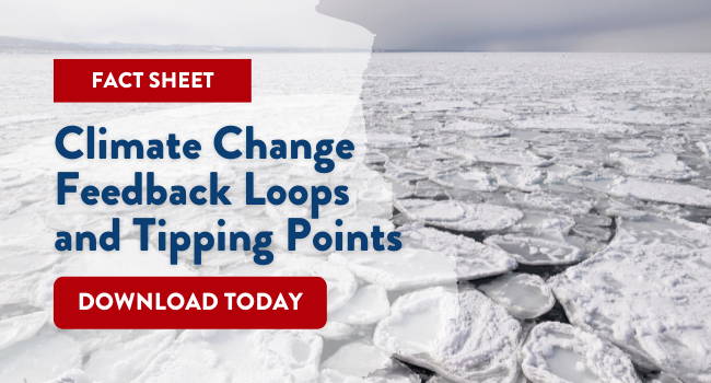 Fact Sheet: Climate Change Feedback Loops and Tipping Points - Download now!