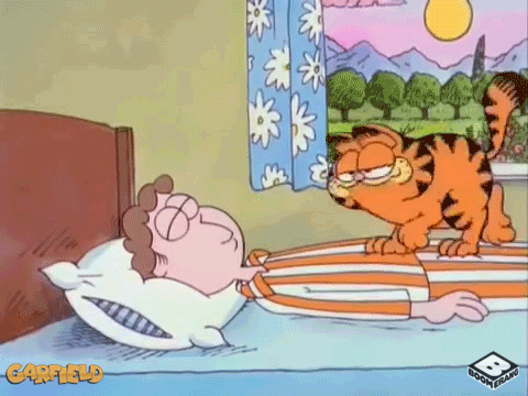 Garfield wakes up Jim