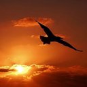 Buitengebieden's avatar Buitengebieden's avatar