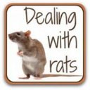 Lissa Jackel's avatar Lissa Jackel's avatar