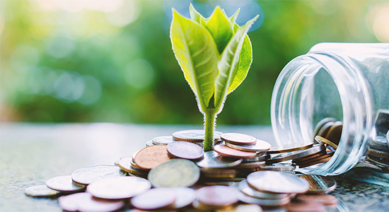 Plant growing from pile of coins