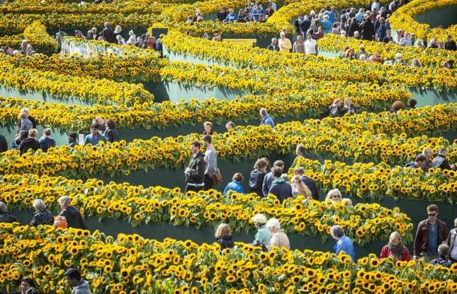 Chiêm ngưỡng những mê cung đẹp nhất thế giới chiem nguong nhung me cung dep nhat the gioi