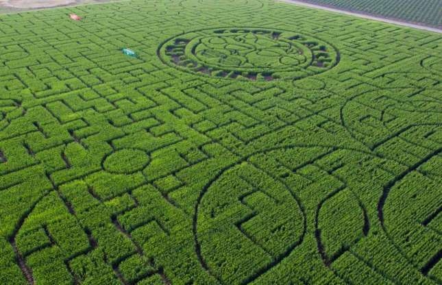 Chiêm ngưỡng những mê cung đẹp nhất thế giới chiem nguong nhung me cung dep nhat the gioi