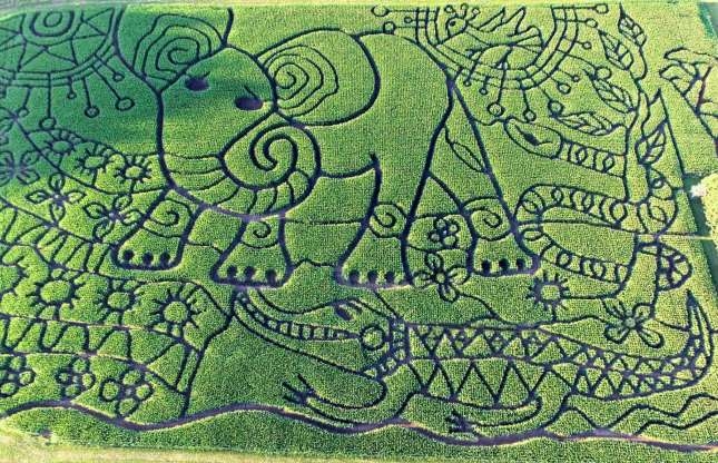 Chiêm ngưỡng những mê cung đẹp nhất thế giới chiem nguong nhung me cung dep nhat the gioi