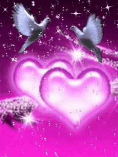 piccione-amore GIF - Scarica & Condividi su PHONEKY