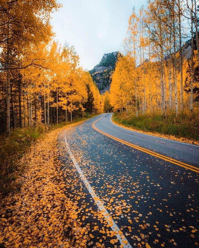 Ảnh: BrightSide