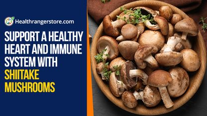 Support a healthy heart and immune system with shiitake mushrooms