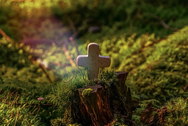 Image by from Pixabay