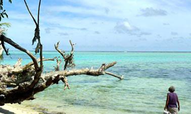 Tropical coastal ecosystems