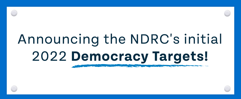 Announcing the NDRC's initial 2022 Democracy Targets