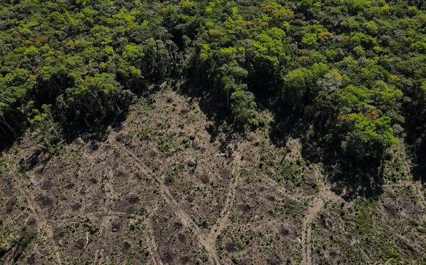 Desmatamento na Amazônia cresceu 150% no último mês do governo Bolsonaro, diz Inpe