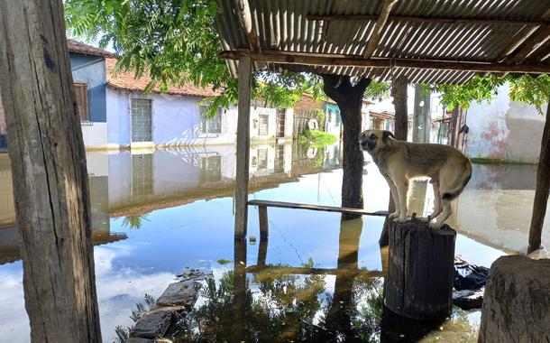 Chuvas no Maranhão deixam 64 municípios em situação de emergência