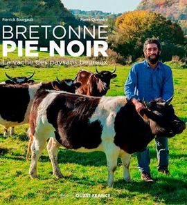 Bretonne Pie-noire