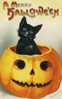 Image result for vintage halloween pictures