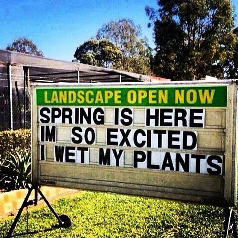 Image result for spring is here i am so excited i wet my plants