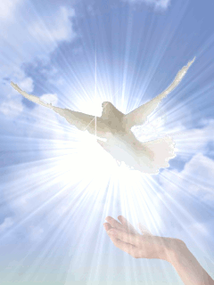 Visualizza immagine di origine