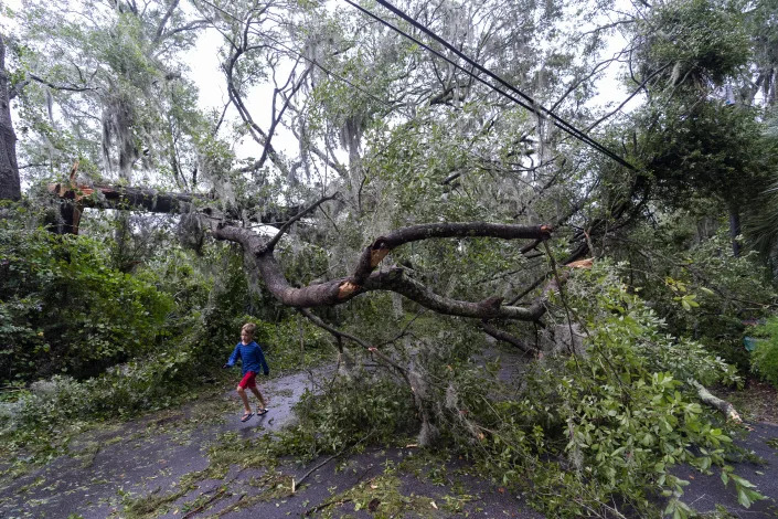 A child runs under a fallen tree from the effects from Hurricane Ian, Friday, Sept. 30, 2022, in Charleston, S.C. (AP Photo/Alex Brandon)
