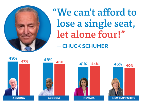 Chuck Schumer: 'We can't afford to lose a single seat, let alone four!'