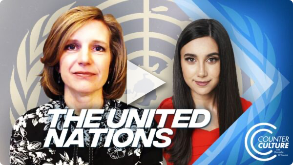 The UN’s Globalist Attack on the Family