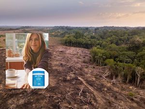 A picture of lush green rainforest next to barren brown earth where rainforest has been chopped down, with an inset photo of actress Jennifer Aniston next to a white bottle labelled Vital Protein