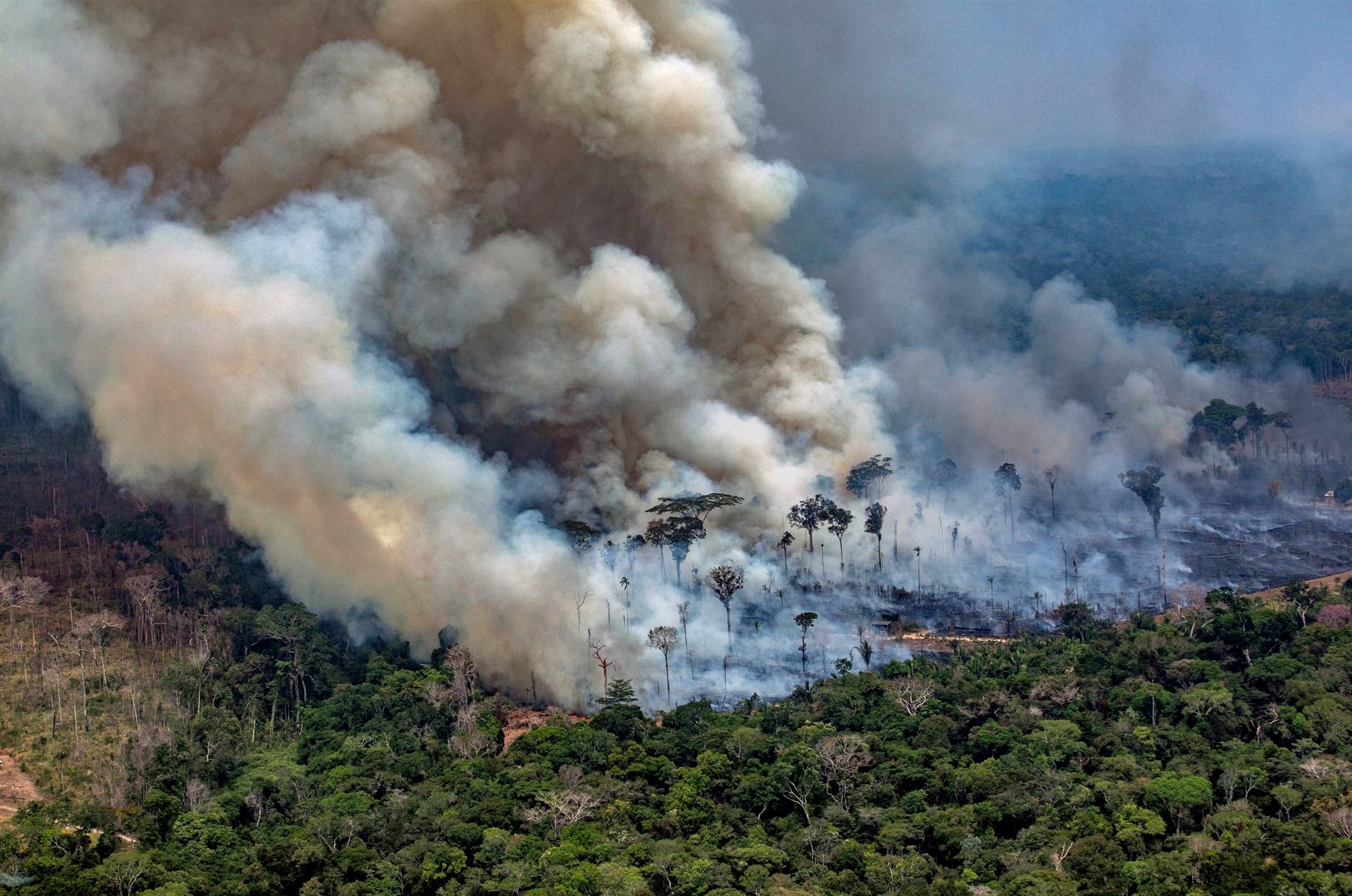 Amazonie en flammes