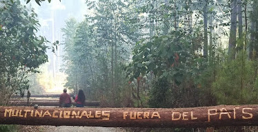 Des membres de la communauté de Misaka protègent leurs terres dans la forêt tropicale colombienne.