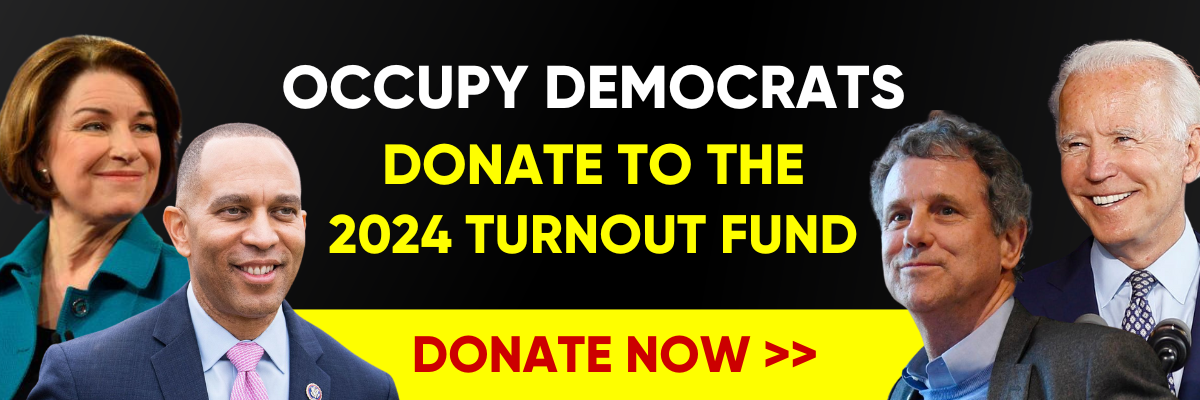 Donate the the 2024 turnout fund